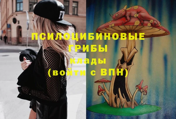 мет Коряжма