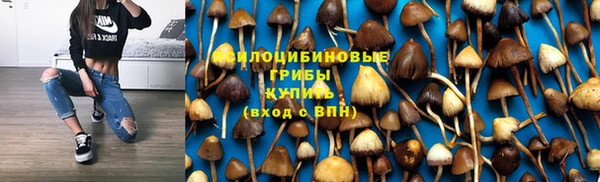 гидропоника Костерёво
