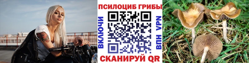 цены Алапаевск Галлюциногенные грибы Psilocybe